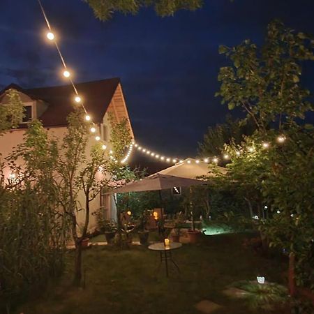 Forest Inn Izvorani Εξωτερικό φωτογραφία