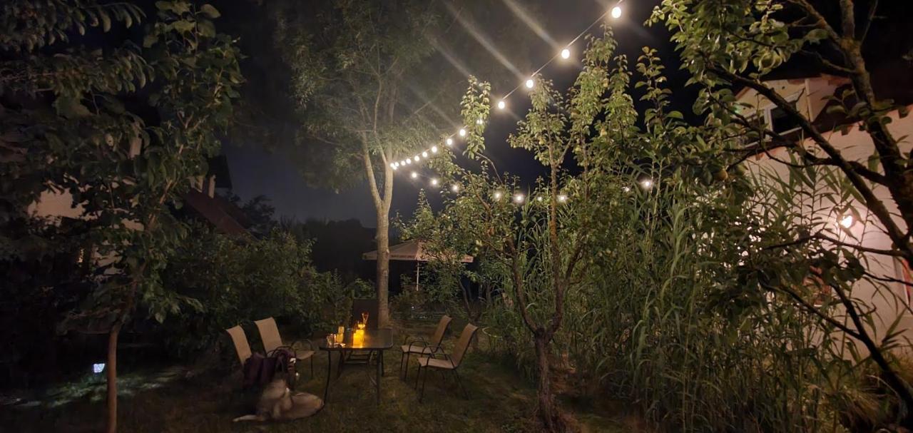 Forest Inn Izvorani Εξωτερικό φωτογραφία