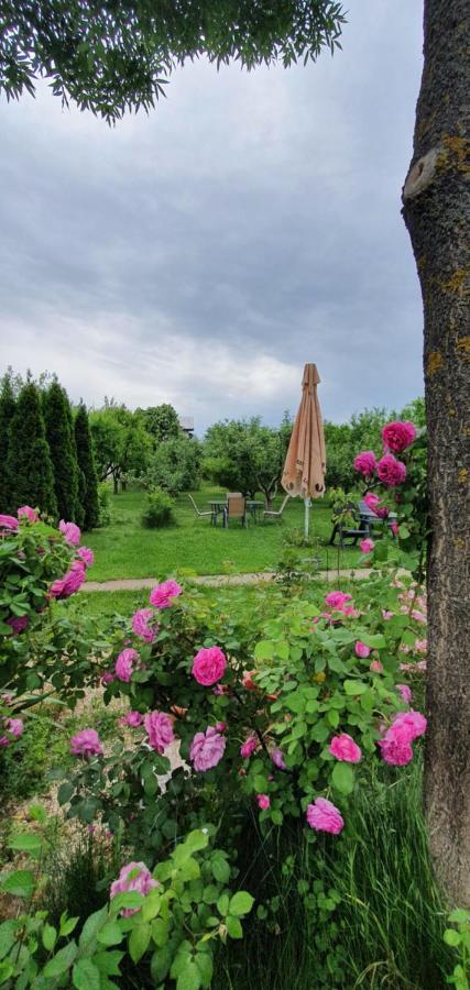 Forest Inn Izvorani Εξωτερικό φωτογραφία