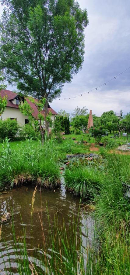 Forest Inn Izvorani Εξωτερικό φωτογραφία